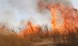 Elazığ'da büyük anız yangını