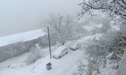 Van'da kar etkili oldu