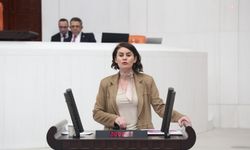 DEM Partili Sayyiğit’ten tepki: “Van uçmuyor, halk mağdur ediliyor”