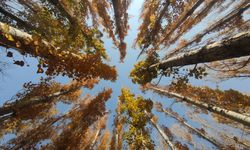 Van Sonbaharda Büyülüyor: Van Kalesi ve Atatürk Kültür Parkı Kartpostallık Manzaralar Sunuyor