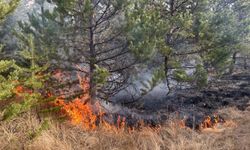 Kars Sarıkamış’ta Orman Yangını: Köylüler ve Ekipler Mücadele Ediyor