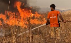 Hakkari’de Doğal Yaşam Tehlikede: Nehil Sazlığı Yangını 4. Gününde