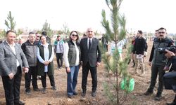 Geleceğe Nefes, İnsanlığa Nefes: Muş’ta Fidan Seferberliği