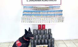 Van’da Kaçak Sigara ve Çay Operasyonu: Jandarma İki Kişiyi Gözaltına Aldı!