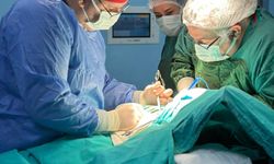 Hakkari’de İlk Guatr Ameliyatı Yapıldı, Hasta Sağlığı İyi Durumda
