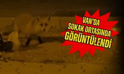 Konserde şok anlar: Ünlü şarkıcıya taciz girişimi!