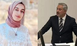 Vanlı vekilden Rojin Kabaiş açıklaması: Yeni gelişme cinayeti kanıtlıyor