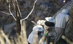 Dünya Liderlerine Bitlis Balı İkram Edildi