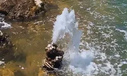 Van Gölü’nde Sıradışı Olay