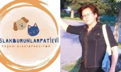 Şule Çörekçi neden öldü? Islak Burunlar Pati Evi'nin kurucusu Şule Çörekçi kimdir, neden hayatını kaybetti?