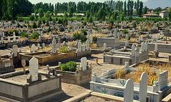 Dilara Kestane Kimdir, Neden Öldü?