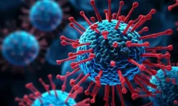 Salgın başladı! 29 kişi öldü, binlerce kişi o bölgede risk altında!