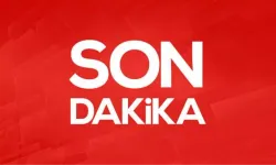 MHP'li Feti Yıldız: En kısa zamanda İmralı'ya gidilecek