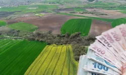 Van'da Şaşırtan Fiyat! Arsa Ve Üzerindeki Üç Ev Için Mahkemeye Bu Rakamı Getiren Alacak