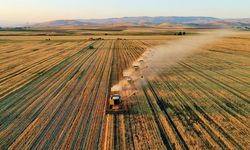Van'da yaşayanlar hemen hesaplarınızı kontrol edin! Ödemeler yatırıldı