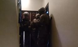 Van merkezli operasyon onlarca gözaltı