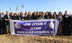 Van Başkalede "Sosin Kadın Dayanışma Merkezi" Kadınların Hizmetine açıldı