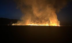 Nehil Sazlığının En Büyük Yangını: 200’ü Aşkın Kuş Türü Tehlikede