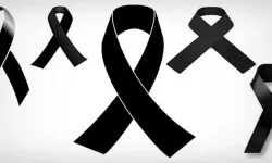 Dr. Erden Sipahi Kimdir, Neden Öldü?