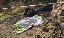 Bahçe temizliği facia ile sonuçlandı