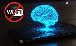14 gün internet kullanmazsanız beyninizde ne olur?