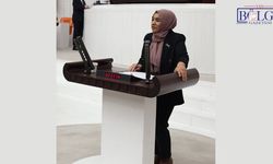 DEM'li Vekil Varlı, İktidarın Maaş Artış Politikalarını Sert Sözlerle Eleştirdi!