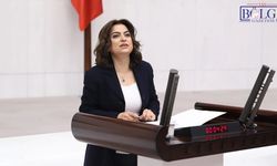 DEM Parti’den “Çerçeve Yasa” Açıklaması