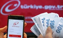 E-Devlet'te Tek Tıkla Para Sorgulama Dönemi: Hesabınızda Unutulan Para Olabilir!