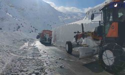 Van’da Çığ Temizleme Çalışması Yapan İş Makinesi Şarampole Yuvarlandı