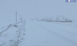 Van–Çatak Kara Yolu Çığ ve Tipi Nedeniyle Yeniden Ulaşıma Kapatıldı