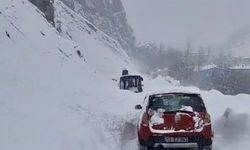 Van'da Çığ Paniği: Sürücü Son Anda Kurtuldu
