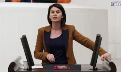Van Milletvekili Sayyiğit’ten Feci Kazanın Ardından Yol Çağrısı