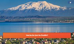 Van'da En Çok Ne Üretilir?