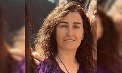 DEM Parti yöneticisi gözaltına alındı