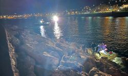 Van Gölü'ne Düşen Şahıs İçin Arama Seferberliği