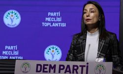 Hatimoğulları: “Kürtler Çatışmanın Sona Ermesini İstiyor”