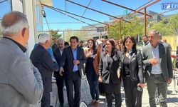 DEM Parti Van İl Örgütü Hastanelerde İncelemelerde Bulundu