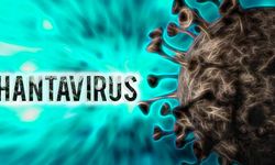 Hantavirüsü Covid gibi pandemi yaratır mı?