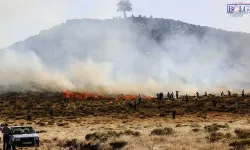 15 Kişinin Yaşamını Yitirdiği Olayda Bilirkişi Hakkında Suç Duyurusu!