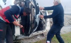 Van yolunda araç şarampole yuvarlandı: 1 yaralı