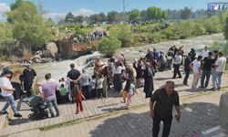 Van Gölü’nde doğanın tersine yolculuğu: İnci kefali göçü
