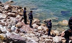 Kontrolden Çıkan Otomobil Van Gölü’ne Uçtu