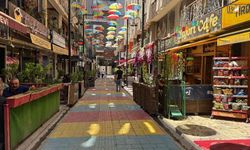 Van’ın Renkli Sokaklarında Sessizlik Hâkim