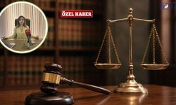 Vanlı Hukukçudan Anayasa Mahkemesi’nin Nafaka Kararına Açıklama