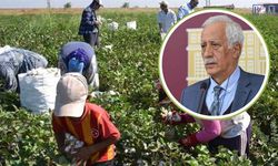 Van Milletvekili Çiftyürek: Tarım İşçilerinin Sorunları Yerinde İncelenecek