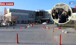 Van'da Çocuklar Sahipsiz Kaldı