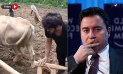 Ali Babacan Van Bahçesaray’da Çiftçilerin Yaşadığı Zorlukları Anlattı