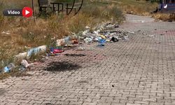 Van'ın Mavi Bayraklı plajında tepki çeken görüntüler