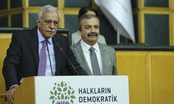 Ahmet Türk'ten Kürt sorunu açıklaması