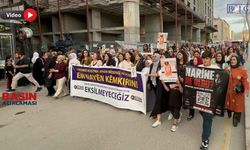 Van'da Kadın Ölümleri ve Kayıp Dosyalarına İlişkin Açıklama